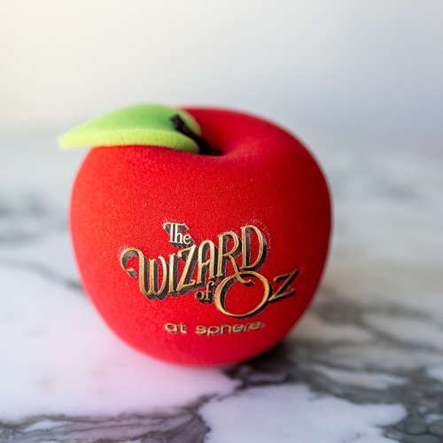 The wizard experience - wizard, of